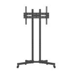 TV Stand Focus Mount Fixed T176